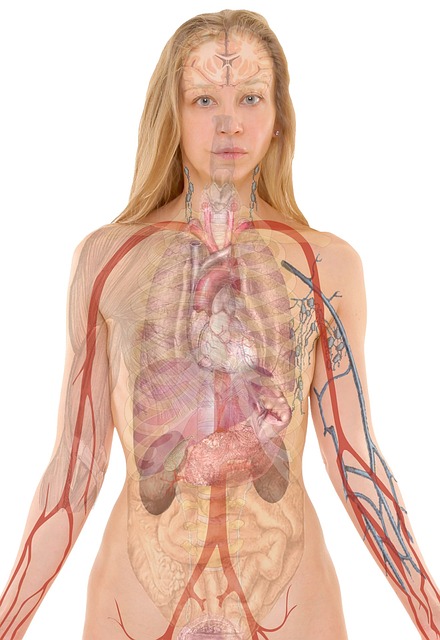 body scan meditation guided practice session